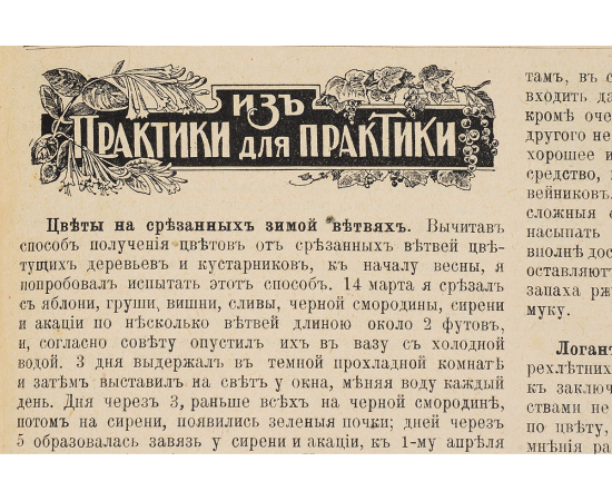 Прогрессивное садоводство и огородничество. Журнал практического садоводства и огородничества. Годовая подшивка за 1914 год