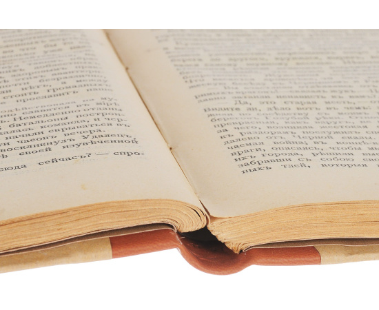 Изгнанники. Повесть из жизни насекомых