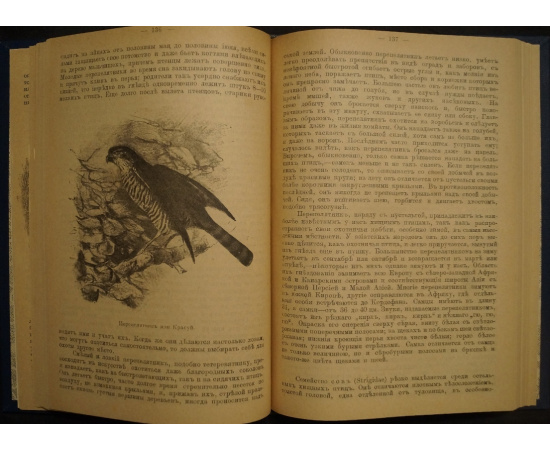 Гааке В. Звери, Птицы и Насекомые Средне-Европейских лесов, их жизнь и нравы