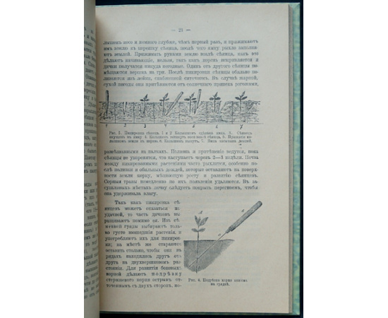 Сахновский К.П. Доходный сад и огород русского крестьянина.