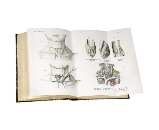 Archiv fur Laryngologie und Rhinologie книга