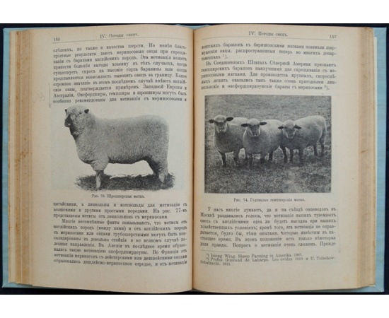 Кулешов П. Н. Овцеводство. Учебник частного животноводства и скотоврачевания.