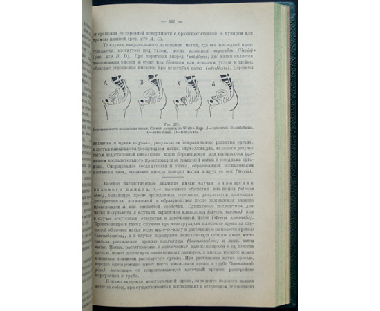 Никифоров М.Н., Абрикосов А.И. Основы патологической анатомии. В двух частях
