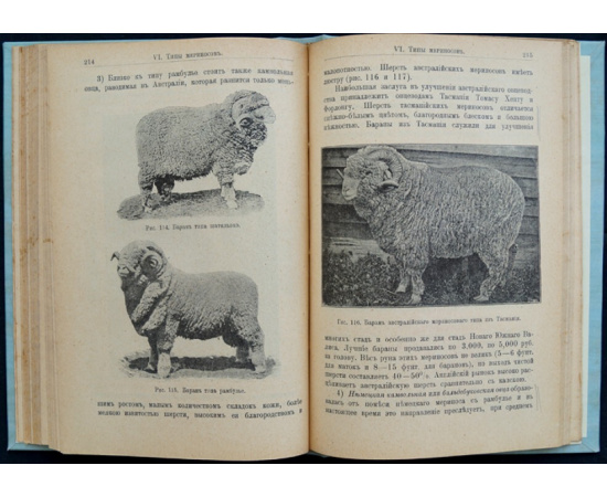 Кулешов П. Н. Овцеводство. Учебник частного животноводства и скотоврачевания.