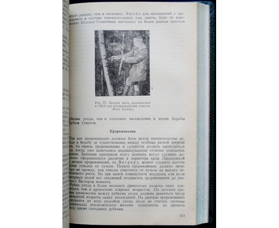 Ткаченко М.Е., Асосков А.И., Синев В.Н. Общее лесоводство.