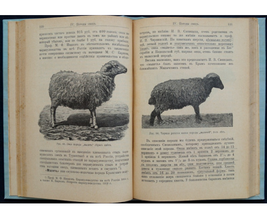 Кулешов П. Н. Овцеводство. Учебник частного животноводства и скотоврачевания.
