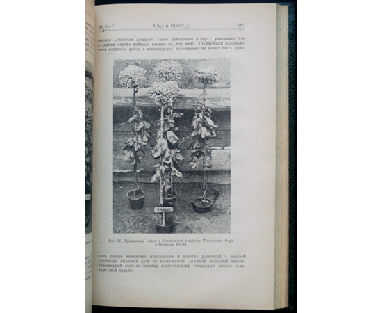 Сад и Огород. №№ 1 - 10. 1926 г.