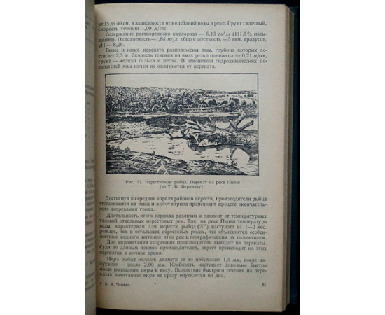 Черфас Б. И. Рыбоводство в естественных водоемах.