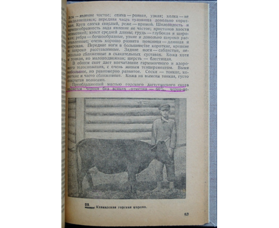 Диомидов А.М. Плановые породы крупного рогатого скота СССР.