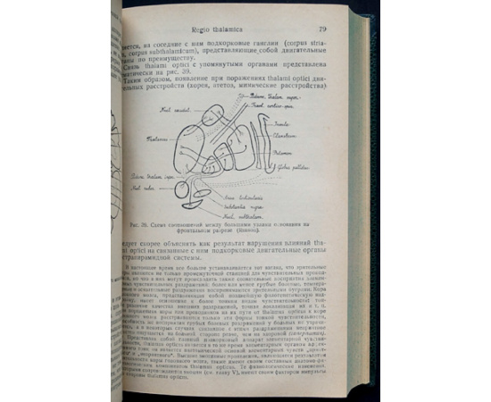 Аствацатуров М.И. Учебник нервных болезней.