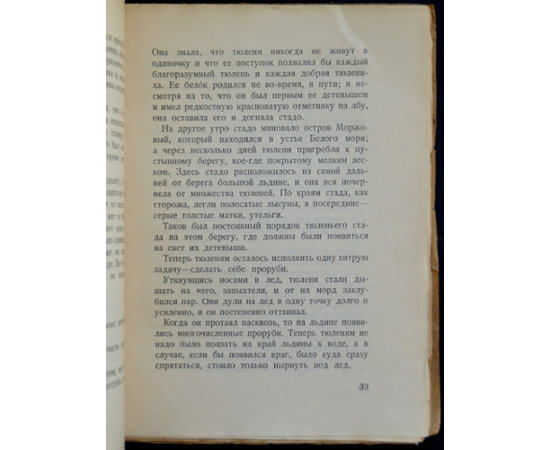 Моржи. Необычайные рассказы из жизни ластоногих