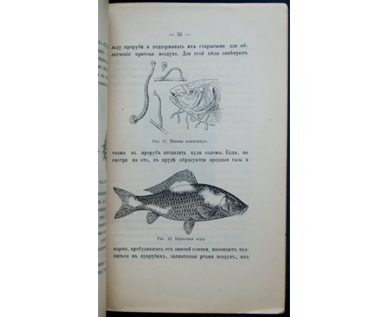 Вилькош Фердинанд. Д-р. Разведение рыбы в небольших прудках.