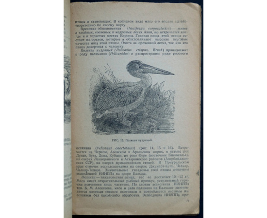 Успенский А.А. Второстепенные виды диких птиц и их обработка.