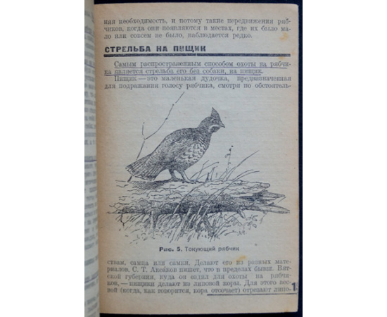 Каверзнев В.Н. Охота на рябчиков.
