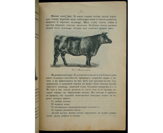 Доброхотов А.Ф. Молочная корова: Породы молочного скота. Выбор молочной коровы