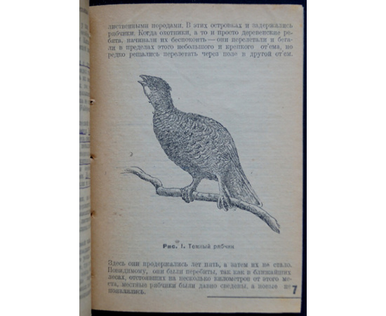 Каверзнев В.Н. Охота на рябчиков.