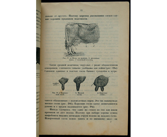 Доброхотов А.Ф. Молочная корова: Породы молочного скота. Выбор молочной коровы
