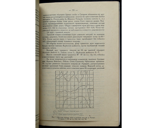 Баранов В.И., Смирнов М.Н. Пихтовая тайга на предгорьях Алтая.