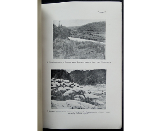 Баранов В.И., Смирнов М.Н. Пихтовая тайга на предгорьях Алтая.