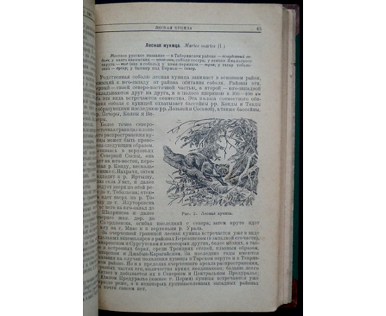 Куклин С.А. Звери и птицы Урала и охота на них.