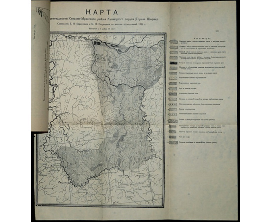 Баранов В.И., Смирнов М.Н. Пихтовая тайга на предгорьях Алтая.