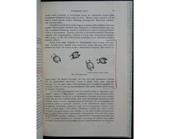 Кулагин Н.М. Лоси СССР.