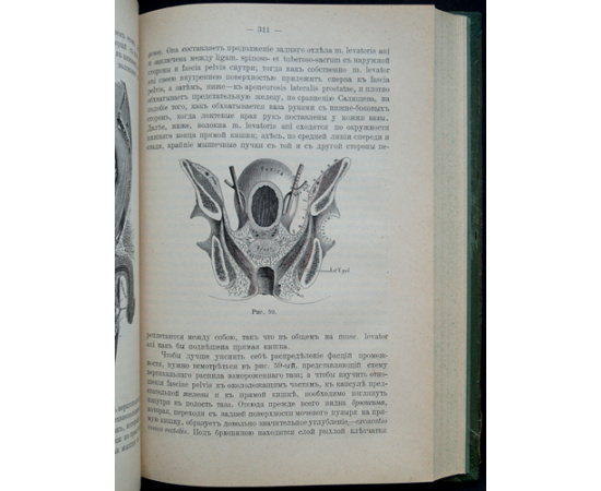 Бобров А.А., проф. Руководство к хирургической анатомии.