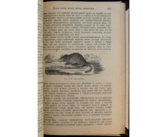 Куханович А.Ф. Пчела и пчеловодство. Полный курс пчеловодства для начинающих пчеловодов.