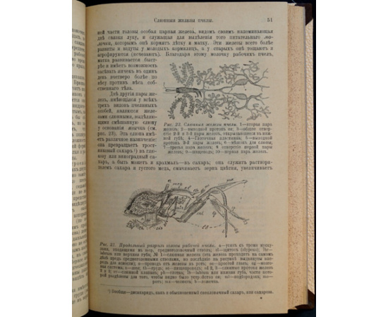 Куханович А.Ф. Пчела и пчеловодство. Полный курс пчеловодства для начинающих пчеловодов.