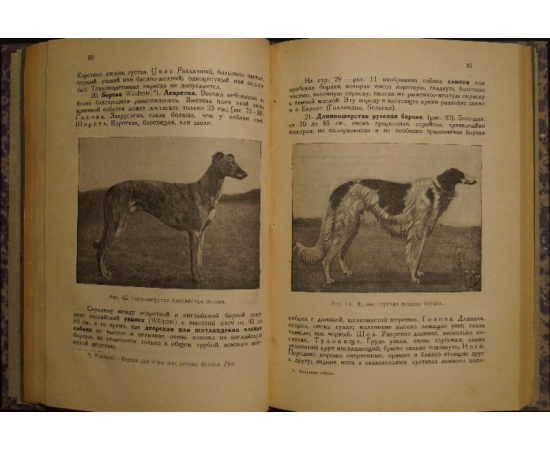 Мюллер Г., проф., д-р Кинологические труды. В 2-х кн.: Болезни собак: Краткое руководство. С 78 рисунками.  Здоровая собака (кинология): Происхо