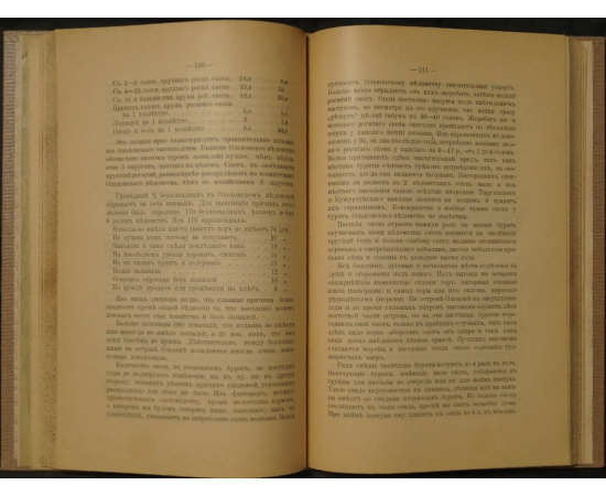 Кулаков П.Е. Ольхон. Хозяйство и быт бурят Еланцинского и Кутульского ведомств (бывшего Ольхонского ведомства) Верхоленского округа Ирк