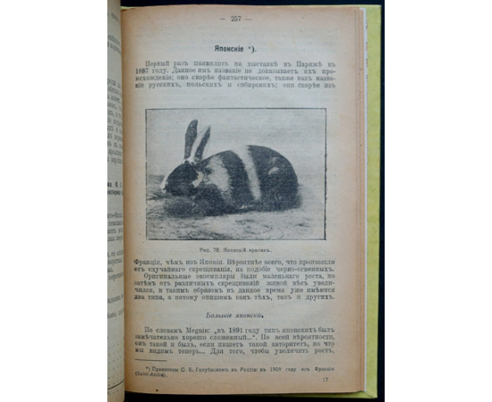 Голубицкий С.Е. Кролики. В двух частях