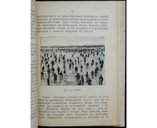 Добрынин Л., Белугин Ф. Прикаспийские степи (Астраханская губерния и Уральская область).