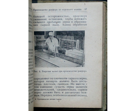 Николаев А.М., Кара-Огланов А.С. Производство мягких сыров.