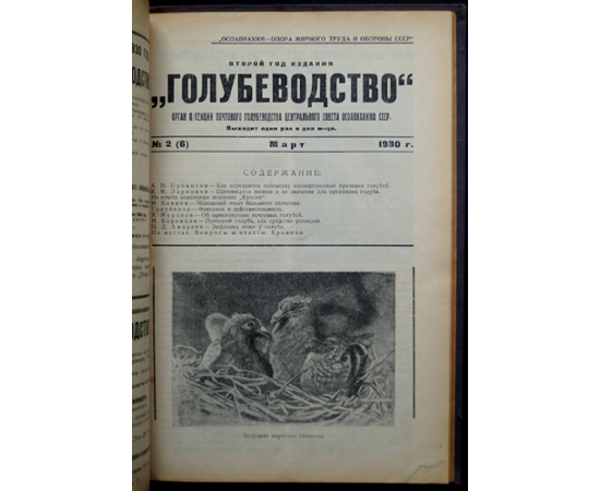 Голубеводство. Журнал: 10 номеров