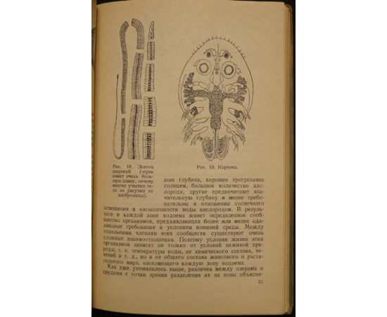 Мейен В.А. Рыбное хозяйство в озерах и прудах.