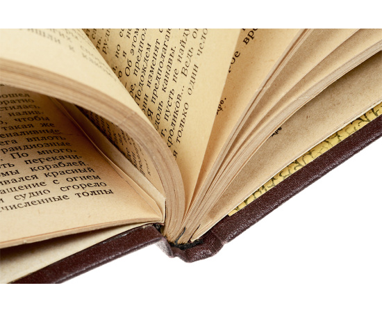 Клад Сиерры-Мадре