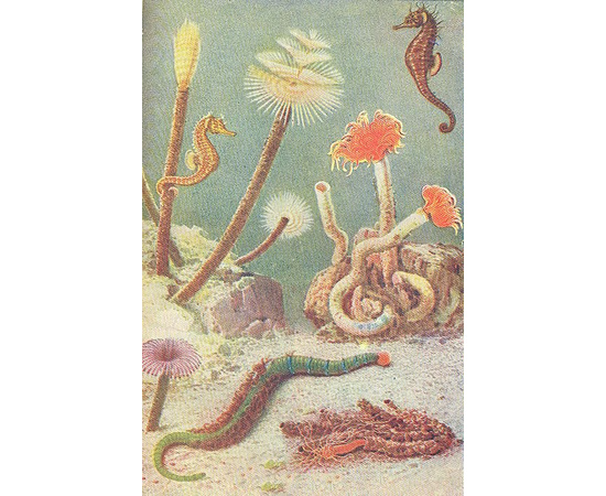 Жизнь животных (по Альфреду Эдмунду Брему) (комплект из 5 книг)