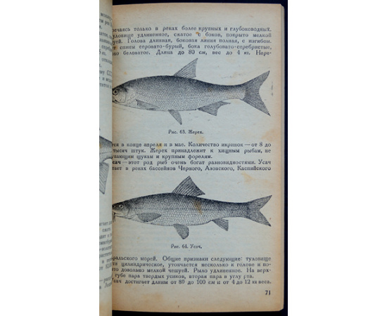 Тидеман В.Г. Рыболовство и морской звериный промысел СССР.