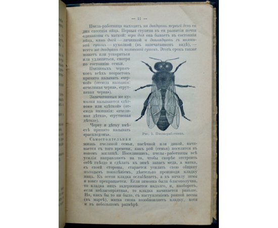 Красноперов С. К. Про пчел, их жилища и уход за ними по правилам пчеловодной науки