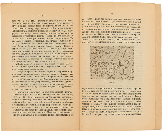 Жизнь кристаллов