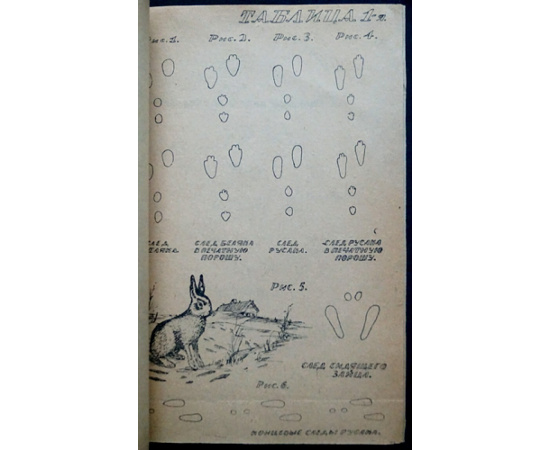 Рахманин Гр. По косым (охота на зайцев).
