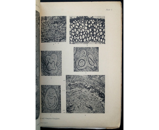 Записки Императорского Санкт-Петербургского минералогического общества. Вторая серия. Часть 48  сорок восьмая