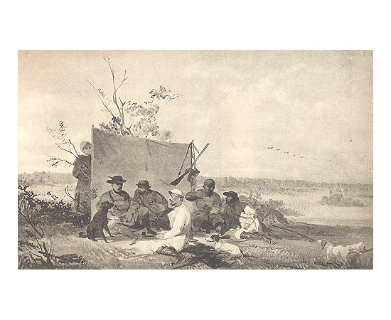 Природа и охота. Ежемесячный иллюстрированный журнал. 1883 г. Июль-сентябрь