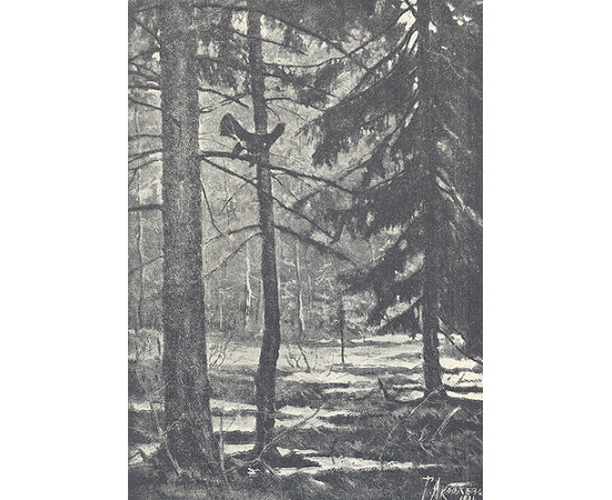 Птицы, звери, люди