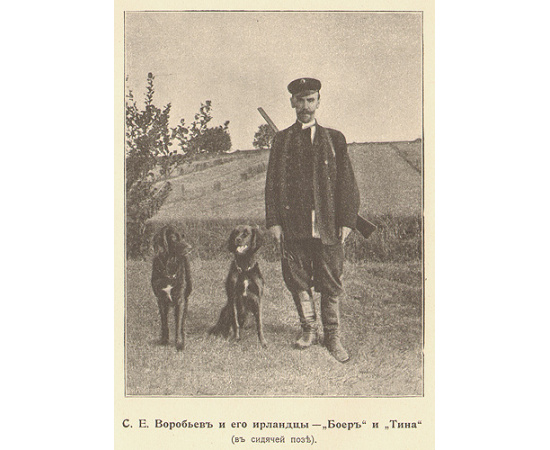 Природа и охота. 1904 год