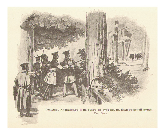 Природа и охота. 1904 год