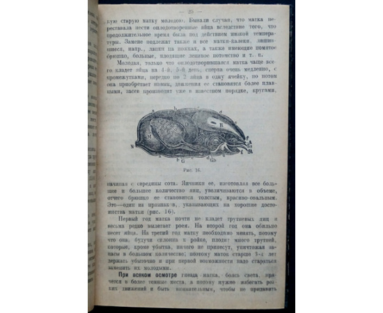 Панков Н. Пчеловодство средней полосы России.