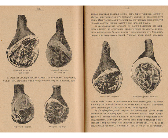 Практические основы кулинарного искусства. Курс мясоведения