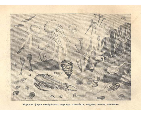 Русская история с древнейших времен (комплект из 5 книг)